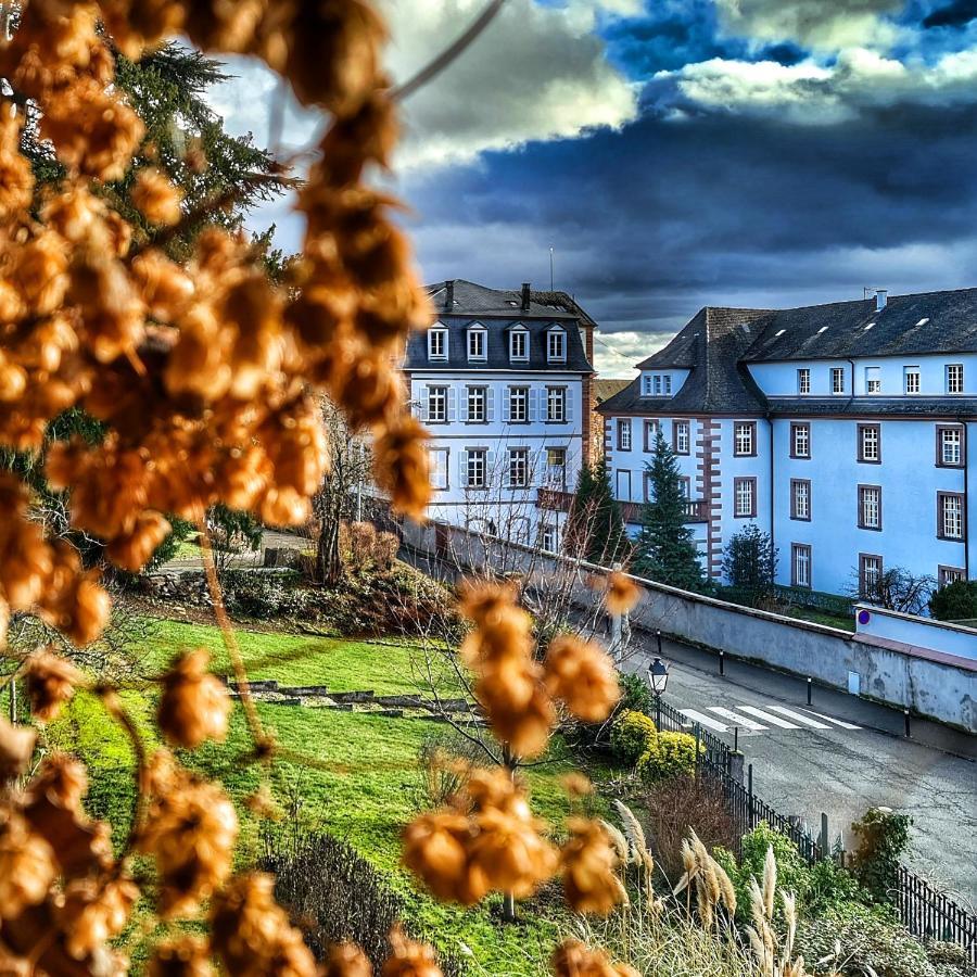 La Grange Du Couvent B&B Ribeauvillé Exterior foto