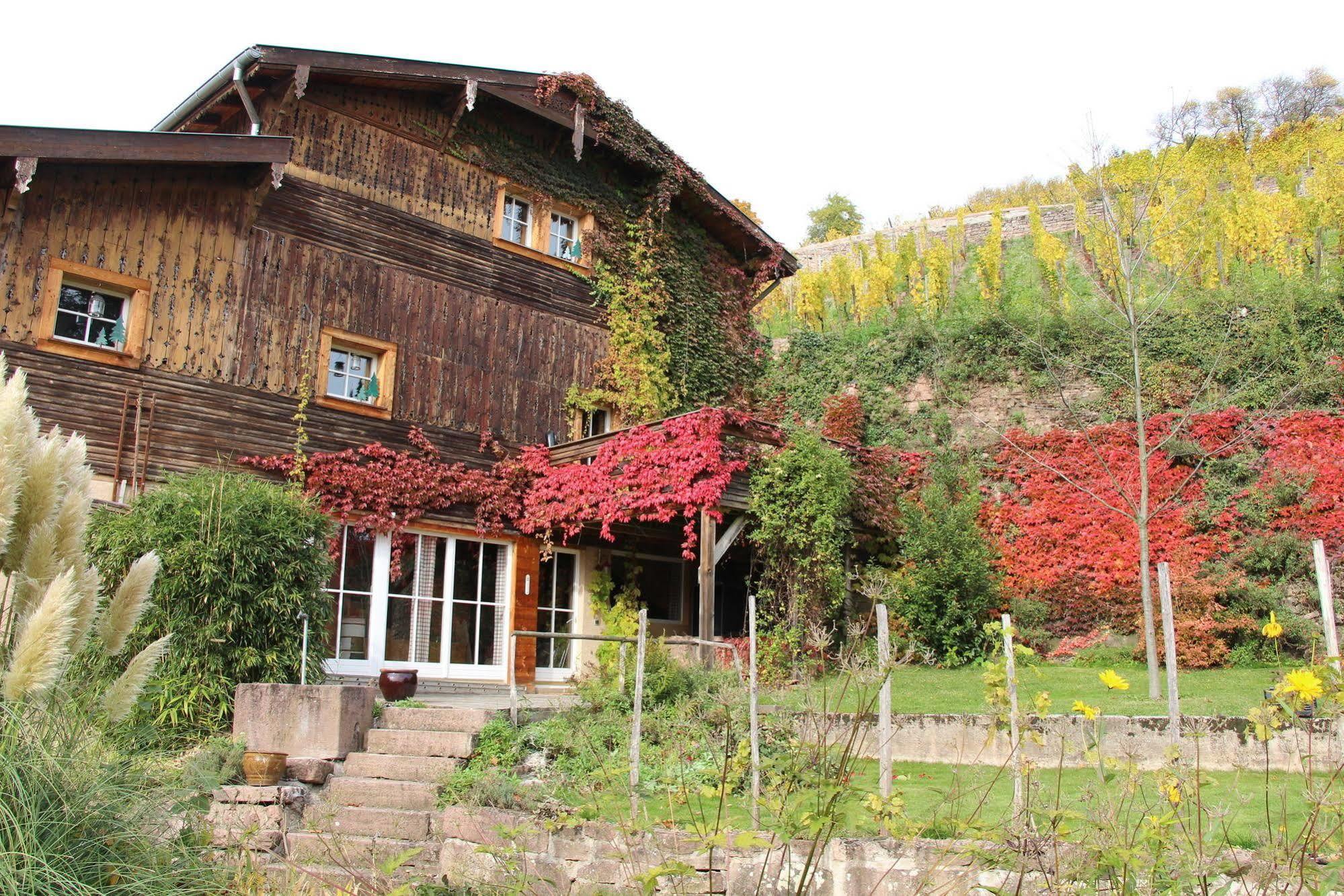 La Grange Du Couvent B&B Ribeauvillé Exterior foto